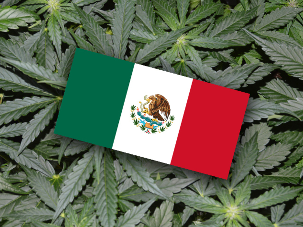 MÉXICO Y LA MARIHUANA - Clínica-SER