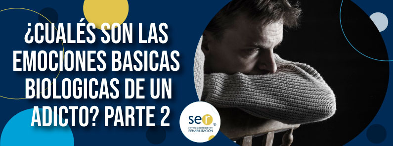 ¿Cuáles son las emociones básicas biológicas de un adicto? Parte 2 - Clínica SER