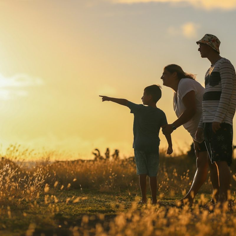 man and woman holding hands while walking on grass field during sunset